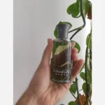 ادکلن مردانه گودلایف مدل لوکابوسی حجم 100 میلی لیتر